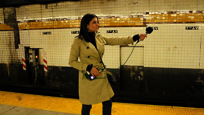 Subway Shark